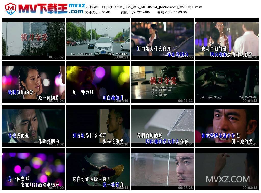阳子-横刀夺爱_国语_流行_MD205604